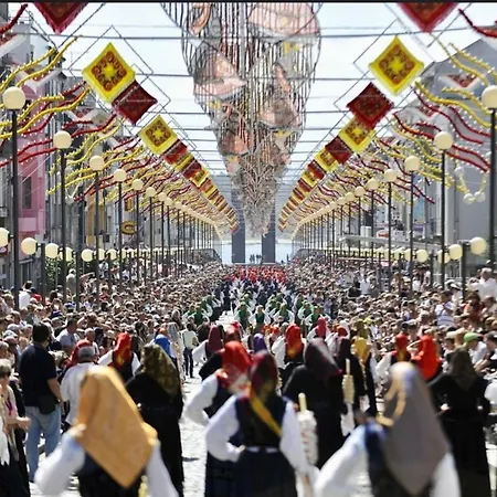 Casa Da Amorosa דירה