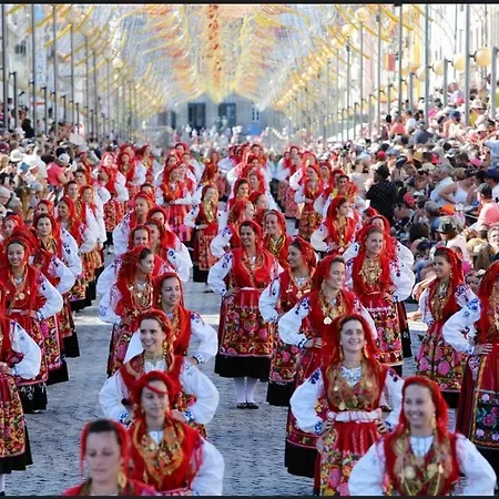 Casa Da Amorosa ויאנה דו קסטלו