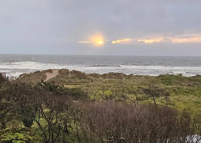 Casa Da Amorosa Viana do Castelo